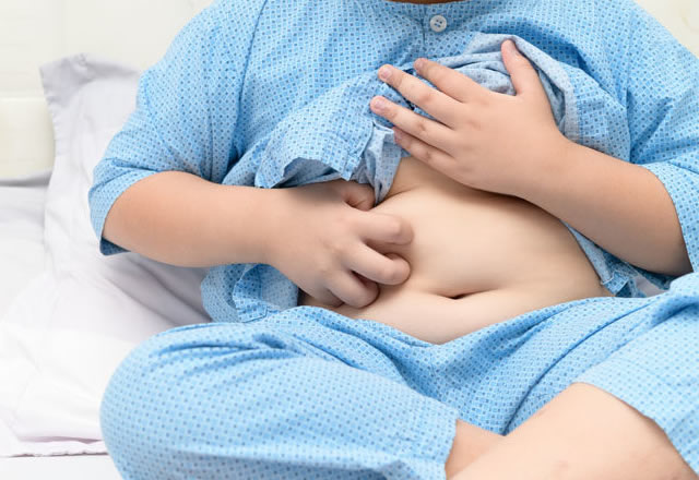 Manejo médico de la obesidad y sus comorbilidades